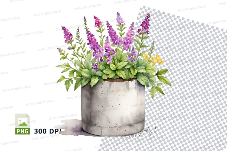 Flower pot with succulents and lavender clipart png