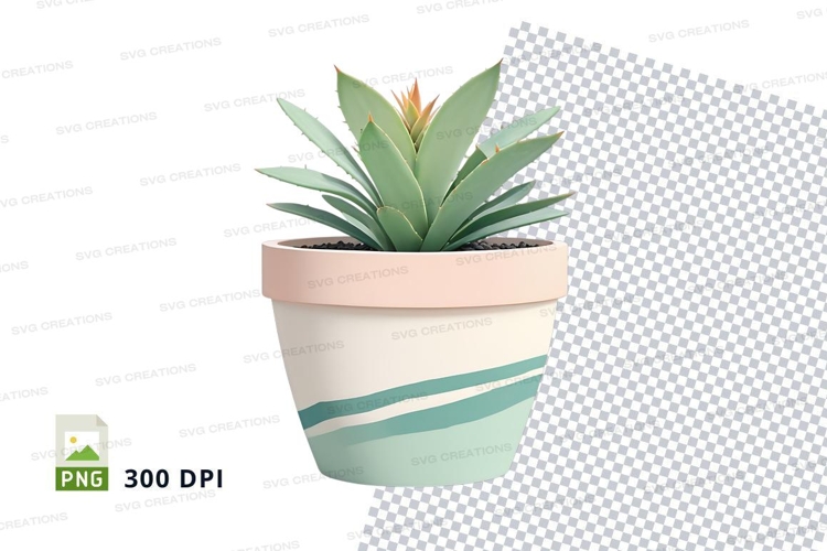 Succulent Png Image 8