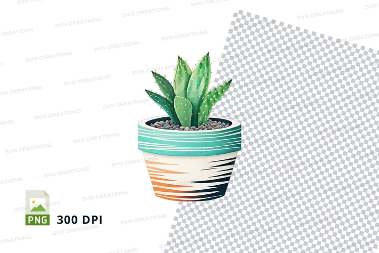 Succulent Png Image 7