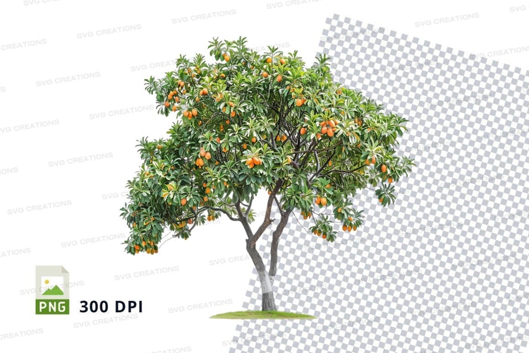 Fruit Clipart Image 17