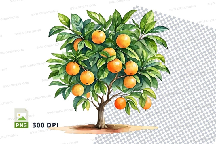 Fruit Illustration Image 3