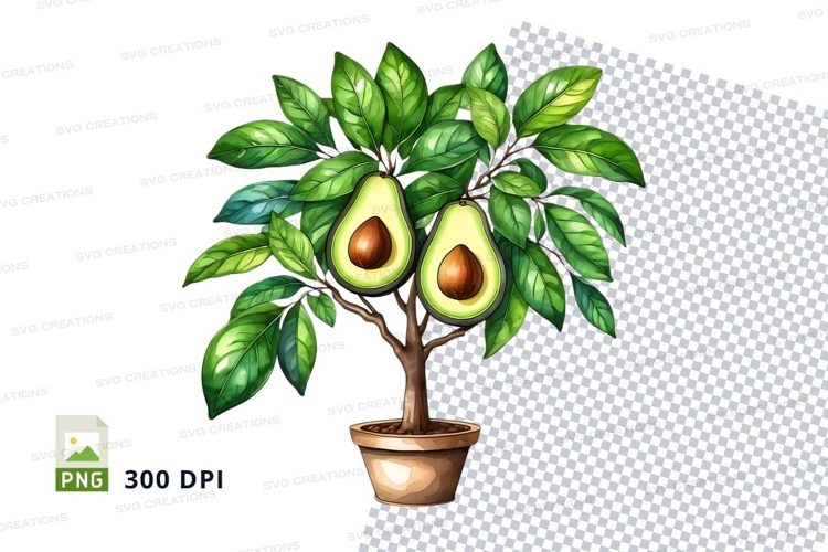 Fruit Clipart Image 22