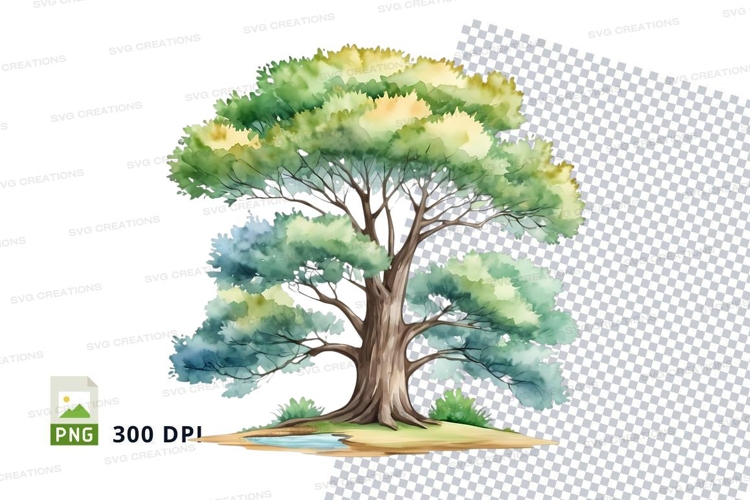 Watercolor tree clipart png