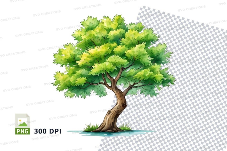 Blätter Png Image 20