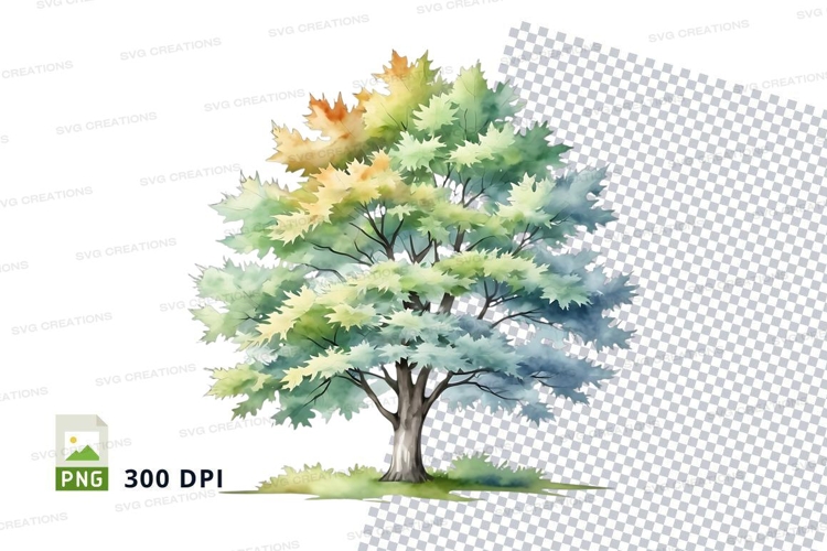 Tree Transparent Background Image 8