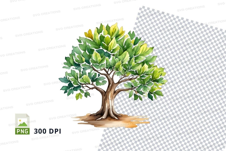 Nature Illustration Image 4