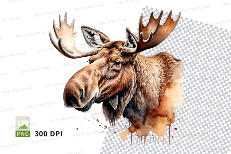 Moose head clipart isolated brown wildlife animal illustrati