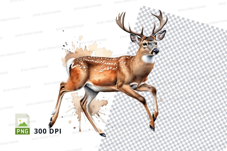 Majestic deer clipart isolated on transparent PNG background