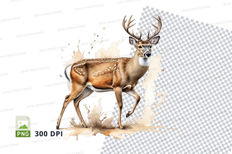 Nature Illustration Image 20