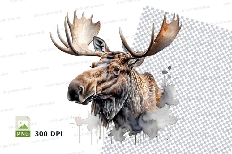 Moose clipart PNG isolated white background wildlife art