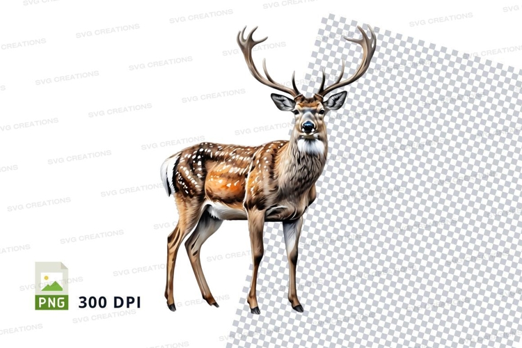 Majestic deer clipart isolated white background wildlife