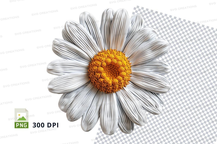 White daisy flower clipart isolated transparent PNG high det