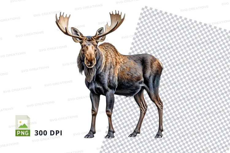 Deer Png Image 2
