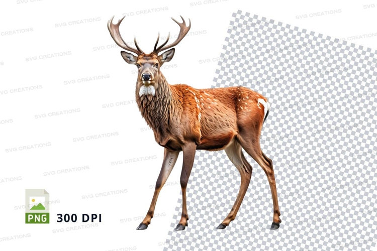 Deer Png Image 17