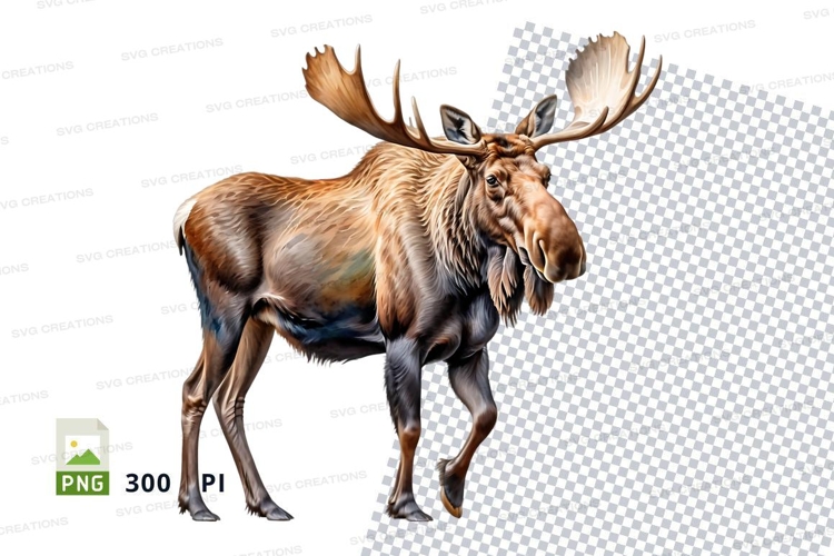 Majestic brown moose clipart isolated on white background