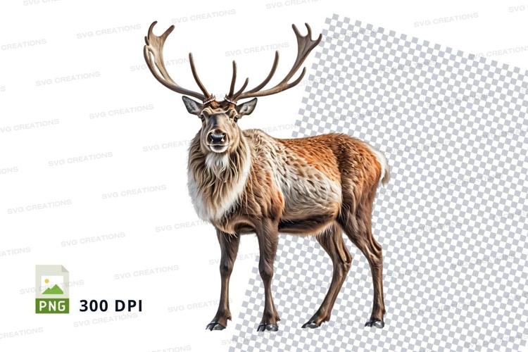 Deer Png Image 21
