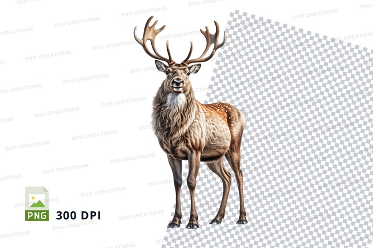 Nature Illustration Image 5