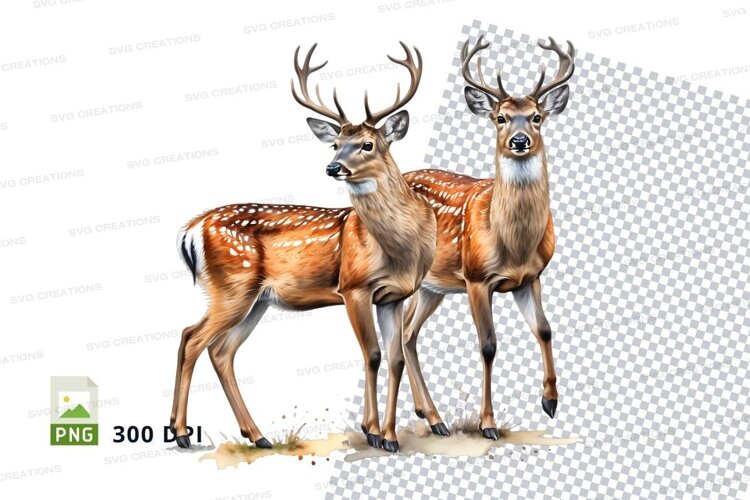 Two deer clipart PNG isolated white background wildlife example image 1