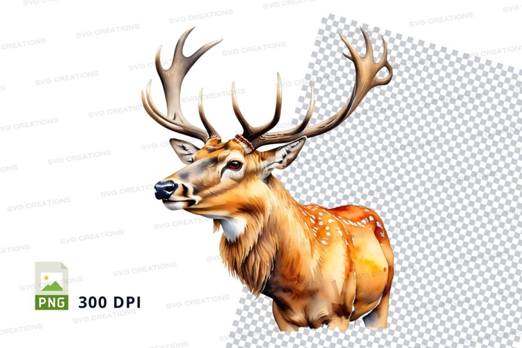 Deer Png Image 24