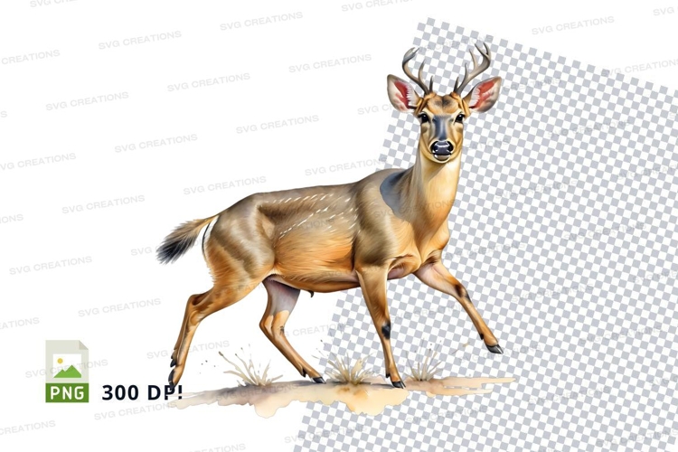 Nature Illustration Image 12