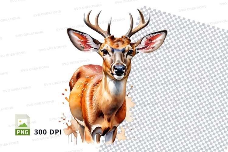 Nature Illustration Image 10