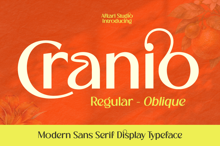 Cranio - Modern Sans Serif Display Font