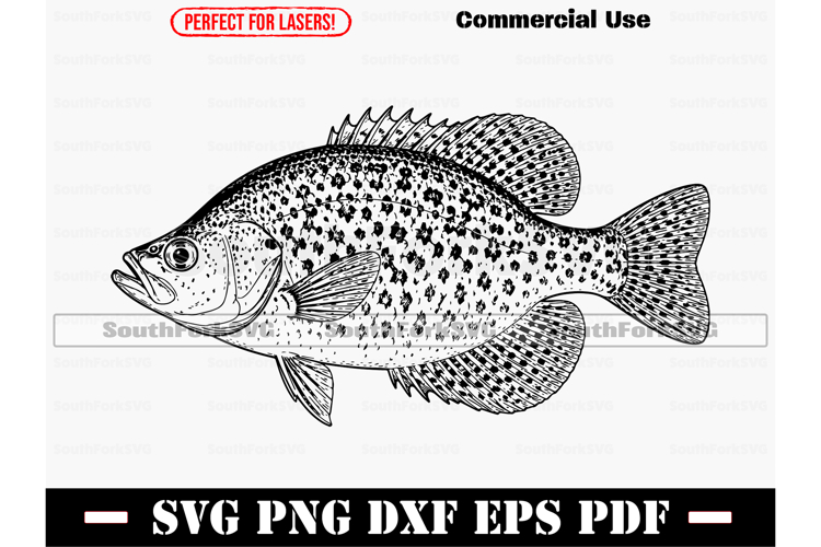 Fish Graphic Image 4