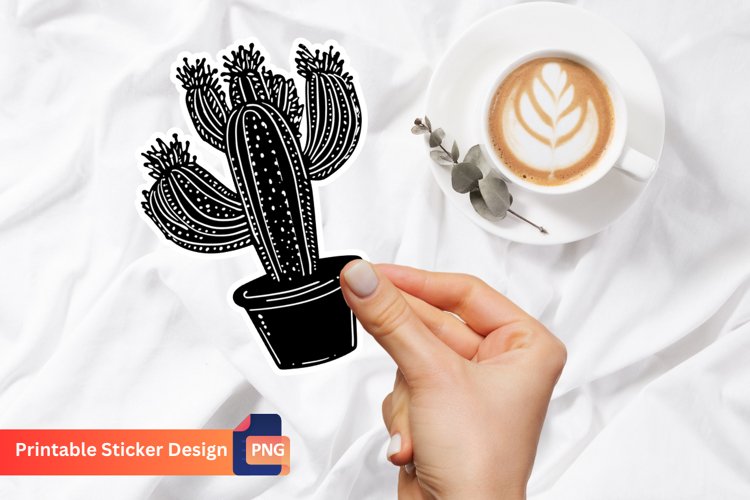 Cute Cactus Pictures Image 8