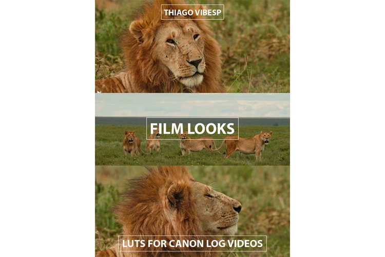 Film Looks Professional LUTs for Canon Log Videos example image 1