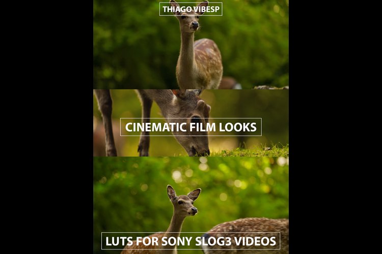 Best Sony Slog LUTs Pack example image 1