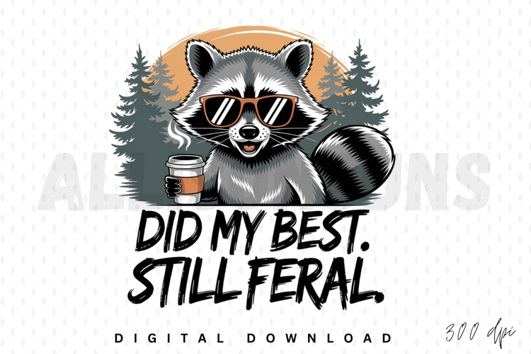 Raccoon Illustration Image 21