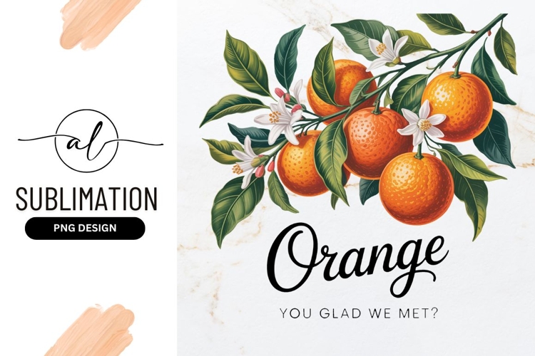 Oranges Clipart Image 9
