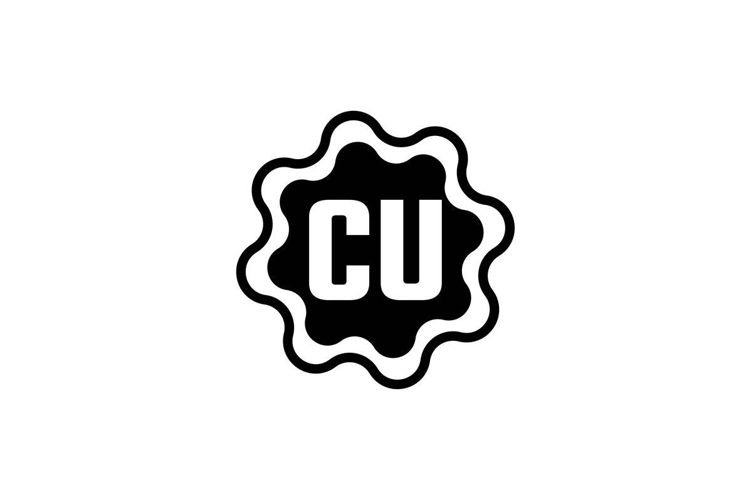 Modern Logo Design Image 10