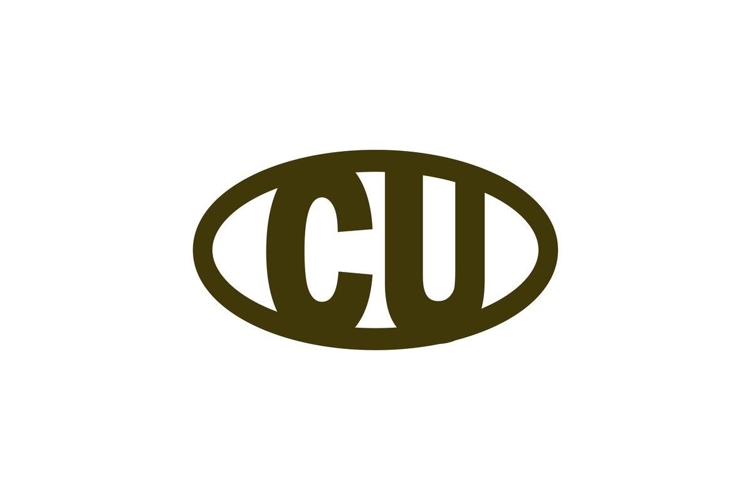 Modern Logo Design Image 16