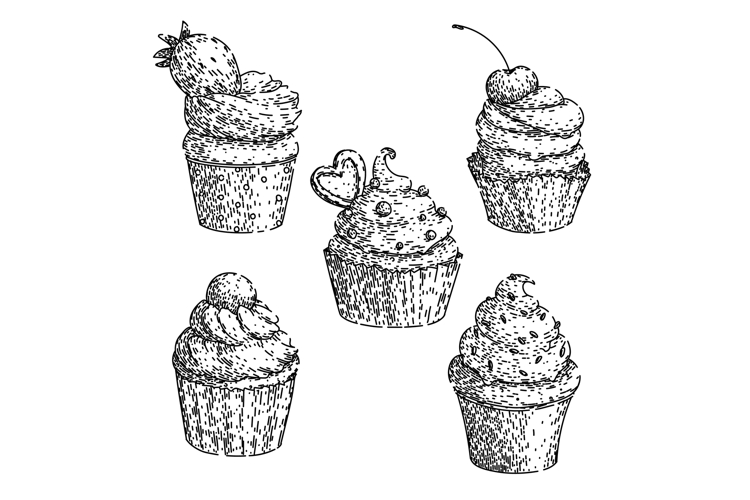 cupcake set sketch hand drawn