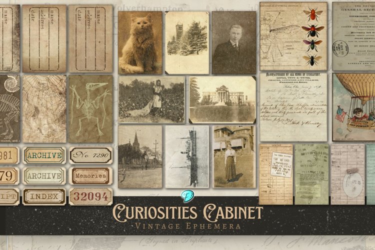 Curiosities Cabinet Vintage Ephemera