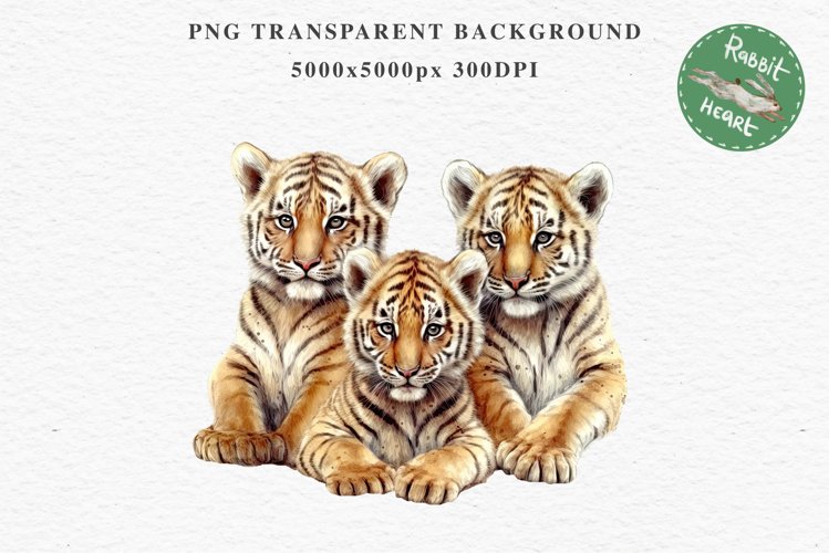 Cute Baby Tiger Animals Clipart PNG Scrapbooking Nursery Art