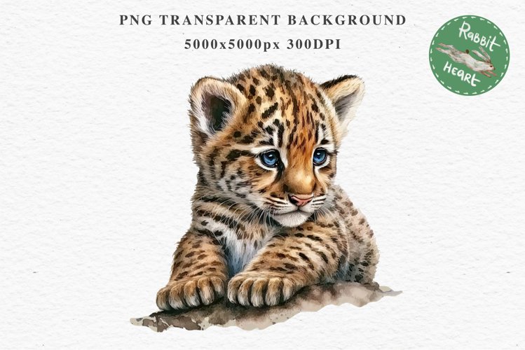 Cute Baby Tiger Animals Clipart PNG Scrapbooking Nursery Art