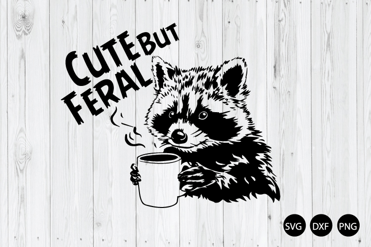 Raccoon Png Image 7