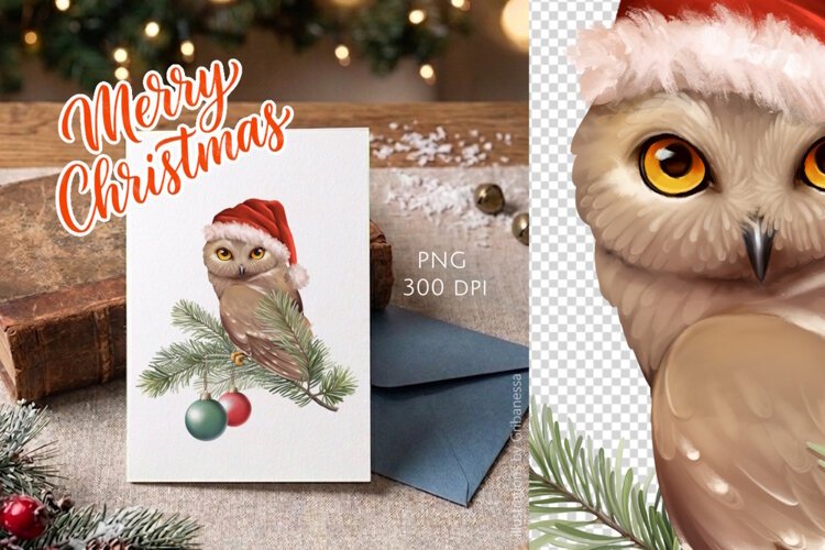 Cute Christmas Owl with Santa Hat PNG example image 1