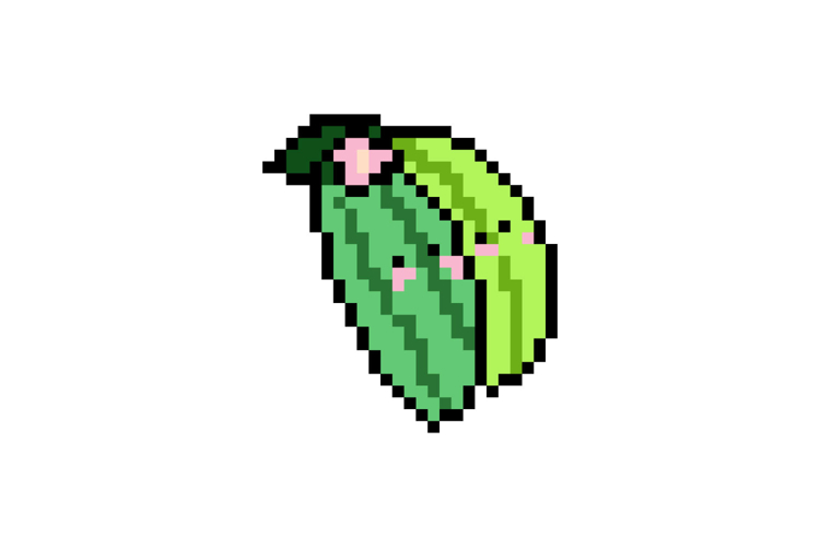 Vegetable Illustration Image 10