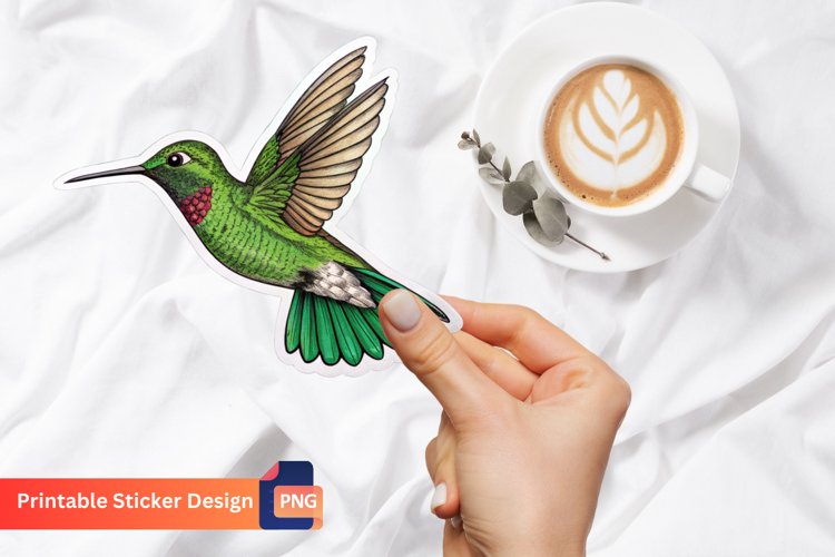 Hummingbird Clipart Image 22