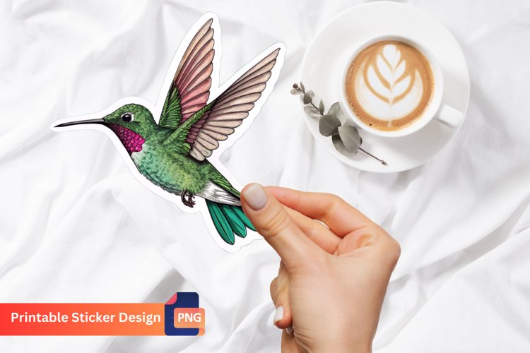 Hummingbird Clipart Image 24