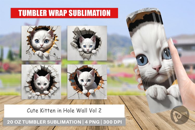 Tumbler Wrap Kitten in Wall