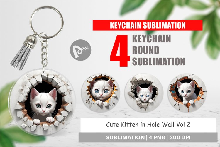 Keychain Kitten in Wall