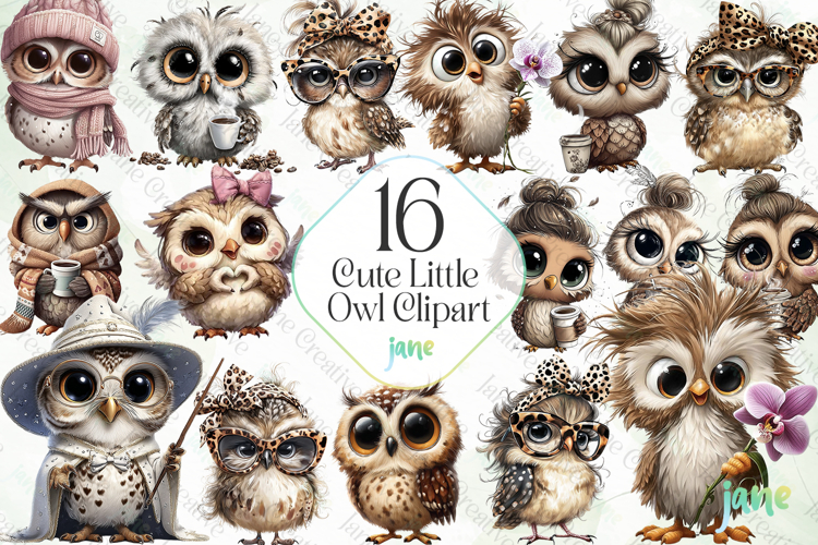 Cute Little Owl Clipart Sublimation