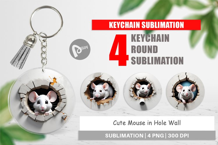 Keychain Mouse in Wall