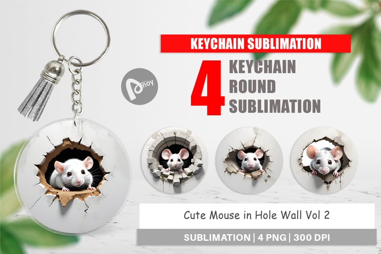 Keychain Mouse in Wall