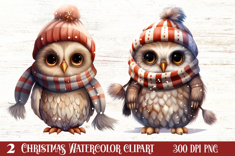 Cute Owl Christmas Sublimation Clipart, Christmas PNG