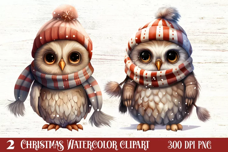 Cute Owl Christmas Sublimation Clipart, Christmas PNG